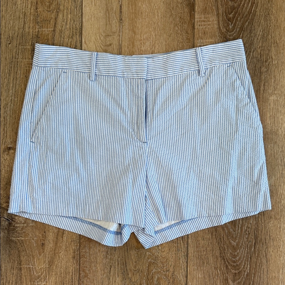 LOFT Light Blue Pinstripe Women's Shorts